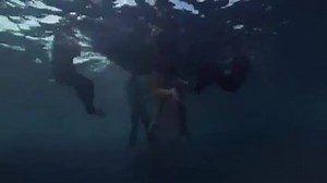 24K views · 634 reactions | #Capsized: Blood in the Water, based on a true story starts NOW. Watch here → go.discovery.com/watch/discovery | Shark Week | Facebook