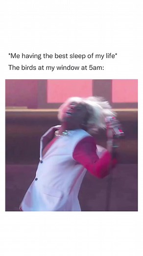 15K views · 460 reactions | Dang birds | Filthy Casual Memes | Facebook
