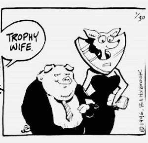 Trophy Wife - TV Tropes
