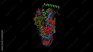 Structure of human Sox2 (light brown) transcription factor in complex with a nucleosome. Animated 3D cartoon model, secondary structure color scheme, PDB 6t7b, black background