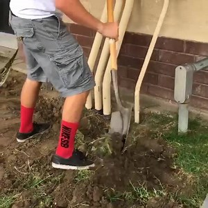 Cottonwood Church on Reels