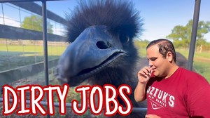 24K views · 3.4K reactions | Dirty jobs around the farm | Shirtless Jake's Homestead | Facebook