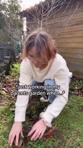 Emma Clarke | @emmaslifescience It’s always fun when I have the garden all to myself 🪴 Mornings are always a struggle, but today, the struggle was real.... | Instagram