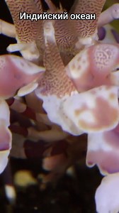 earth interesting facts on Reels | Facebook