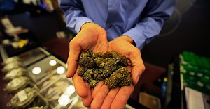 Where to buy marijuana in Maryland: A complete list of approved dispensaries