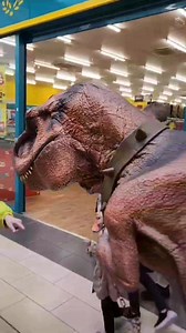 Don't miss out on the roar-some fun at Laois Shopping Centre today 🤩 FINAL Dino show at 3pm! | Laois Shopping Centre