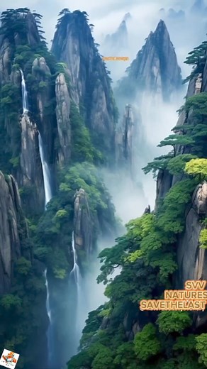 Nature's Lovers scenery, The unseen Nature's that really exist #naturelover #NaturalBeauty #naturebeauty #nature #naturephotography #fbreelsfypシ゚viral #trendingnow | SAVE the LAST VirgiN