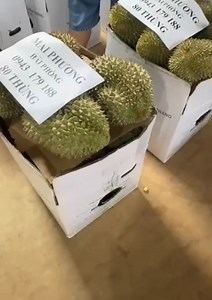 Đỗ Mai Phương on Reels