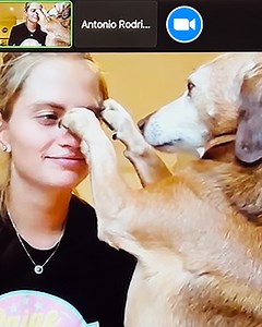 8.4K views · 289 reactions | Kaylee found Lady at a doggy daycare, and now, this velcro puppy showers her with kisses, making every moment unforgettable 殺 #doglover #dogstory #cuddlebuddies | Cuddle Buddies | Facebook