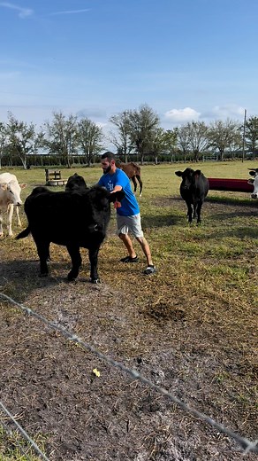 28K views · 259 reactions | You Want To Be A Cowboy? 鸞 | Blake's Exotic Animal Ranch | Facebook