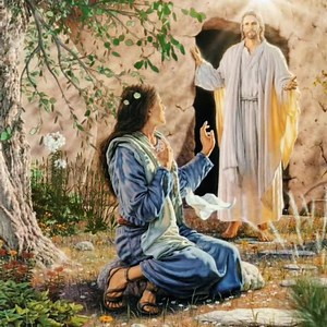 117K views · 20K reactions | 퐼푟푒푛푎 퐽푢푟푎푛푘표: 푍푎 푠푣푒 푚표푗푒 푑푟푎푔푒 푙푗푢푑푒,...