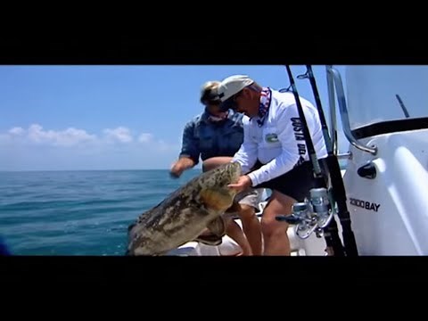 Goliath Grouper Fishing Florida Keys Gulf of Mexico