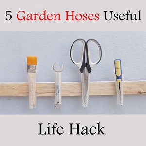 Check it out! | Modern Women