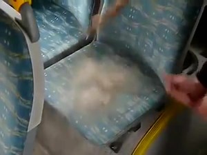 1.1M views · 5.2K reactions | Tại sao ghế xe bus thường có màu xanh...