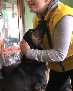 Bruiser… | Woods Creek Rescue