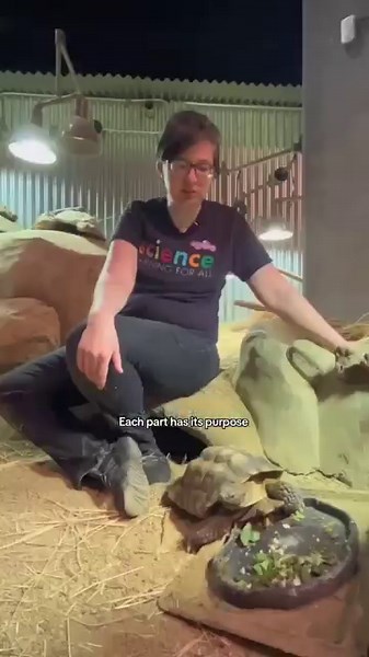 8.1K views · 173 reactions |  This Earth Day, we're highlighting a...