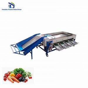 [Hot Item] Advanced Potato and Pepper Grading System for Efficient Sorting