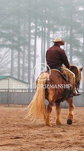 Counter bending will build balance in a stiff horse. #RespectTheCode #BEONE #ES20 #B1 | B1 Horsemanship