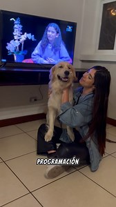 13K views · 67 reactions | TV Azteca Guate ya está disponible en RCA Roku TV Y lo mejor? Es TOTALMENTE gratis朗 Pueden conseguirla ya mismo en su distribuidor favorito | Stephanie Soto | Facebook