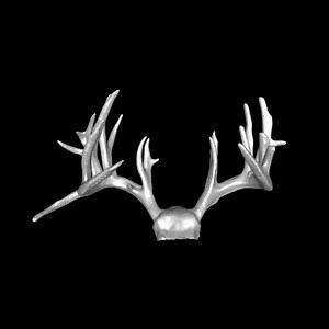 2K views | Texas Trophy Hunters Association on Reels | Facebook