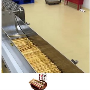 [Hot Item] Stick Cracker Chocolate Dipping Machinery
