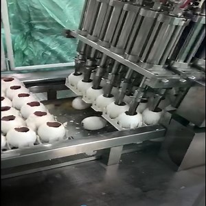 [Hot Item] Intelligent and Customizable Egg Inspection Production Equipments for Egg - Based Vaccine