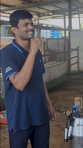 प्रत्येक दूध उत्पादकाच्या वेदना #dairyfarm #cattlefarm