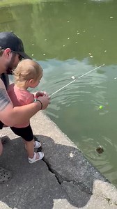 Tim Bentley on Reels