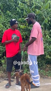 Man give goat to his wife as a Christmas gift and the woman refuse to collect it | Gabby TV