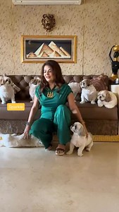 17K views · 901 reactions | Meet my Squad 刺 Me Happily outnumbered 殺 #simplysheeba #dogmomlife #petloversclub #dogmomsofinstagram #dogmoms | Sheeba Sabir | Facebook