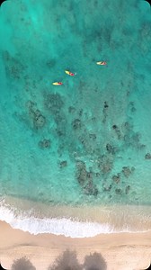 An eco adventure to remember at #MyGalleyBay! #galleybayresort #loveantiguabarbuda #beachfrontroom #sunseaandsand #beachfront #beachfrontsuite #beachcocktails #allinclusiveresort #beachrestaurant #beachfrontresort #allinclusiveresort #honeymoondestination | Galley Bay Resort and Spa
