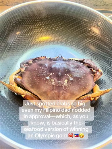 Alien In The Kitchen on TikTok