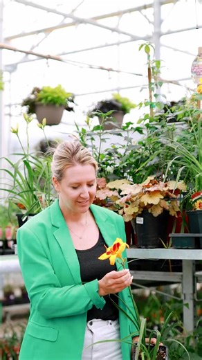 15 reactions | Here are our favourite mid-blooming perennials! ✨...