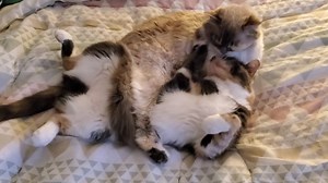 Don't miss Lilly and Victoria's heartfelt moment of affection. | Rumble