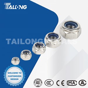 [Hot Item] Fasteners Hexagon SS304 SS316 Stainless Steel Metal Nut Hex Nylon Lock Nut Self-Locking Nut