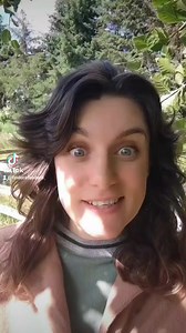 Beech Nuts #beechtree #nuts #foraging #nativeplants #findersfeeders | Finders Feeders