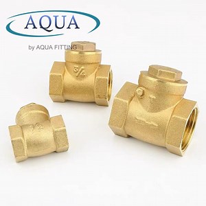 [Hot Item] China Factory Horizontal Brass Non Return Water Check Valve