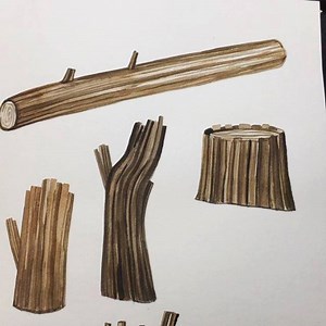 Logs logs logs for my next picturebook.🌲🌳 . . . #watercolour #guache #painting #log #illustration #sketchbook #sandradieckmann #process #picturebook #childrensbook #kidlit #kidlitart | Sandra Dieckmann