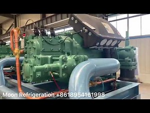 HSN 2-125hp Bitzer Germany screw compressor rack unit