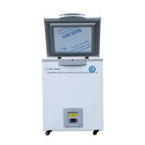 [Hot Item] Mini Chest/Deep Freezer/Congelateurs/ Single Door Small Chest Freezer