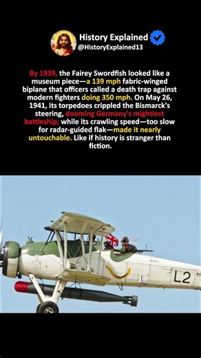 The Biplane They Called a Flying Coffin Until It Sank the Bismarck