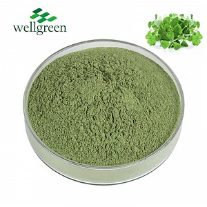 [Hot Item] Bulk Animal Feed Grass Extract Meal Alfalfa Powder for Cattle Feed
