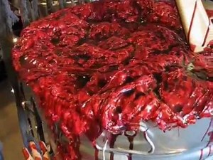 "Blood!", "Gore!", "Dismembered Bodies!"