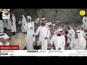زير / حامد المالكي