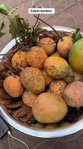 Zaban bonbon : comment on l’appelle ce fruit en Afrique ?