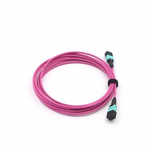 [Hot Item] MPO Sm/mm 12 Core Fiber Optic Patch Trunk Cable