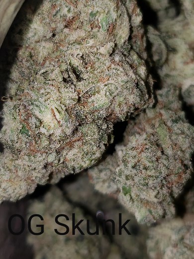 The OG Skunk | Marijuana Strain Reviews