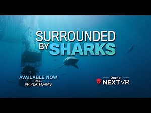 Surrounded By Sharks in Virtual Reality 🦈| NextVR