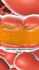 I drank this for 14 days and it DRAINED my beer belly… ️24 hours:...