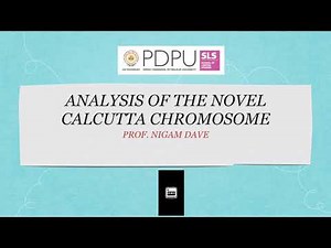 Analysis of the novel Calcutta Chromosome